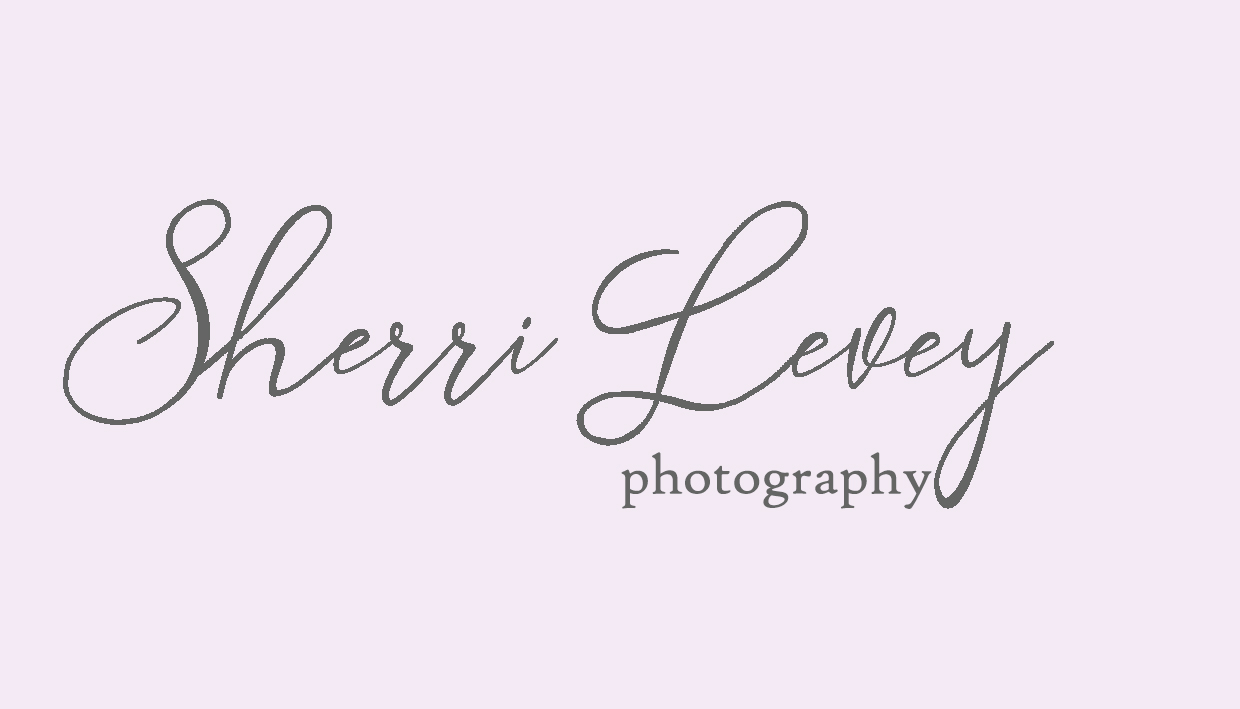 Sherri Levey Photography
